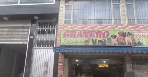 GRANERO DIANIS GRANERO DIANIS